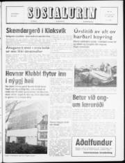 Síða 1