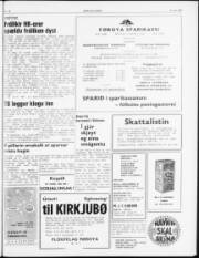 Síða 3