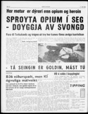 Síða 4