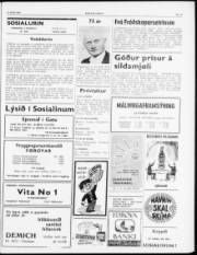 Síða 3