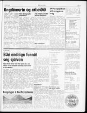 Síða 5