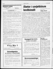 Síða 2