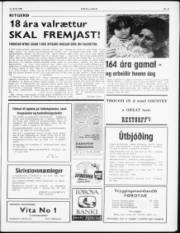 Síða 3