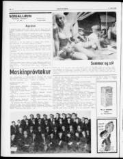 Síða 2