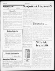 Síða 3