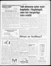 Síða 3