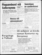 Síða 3
