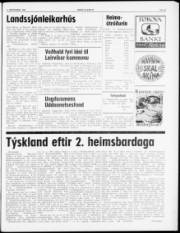 Síða 3