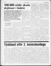 Síða 4