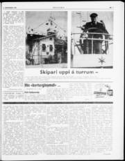 Síða 5