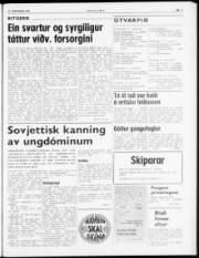 Síða 7