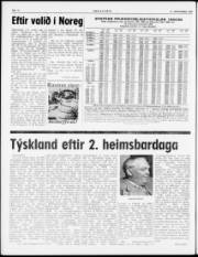 Síða 2