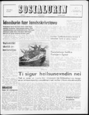 Síða 1
