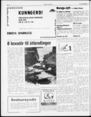 Síða 2