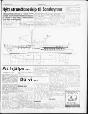 Síða 5