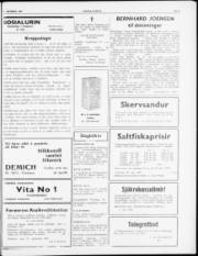Síða 3