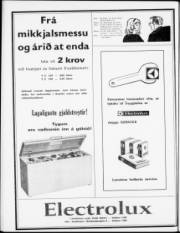 Síða 4