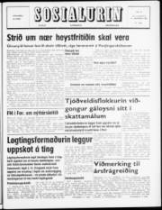 Síða 1