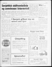 Síða 7