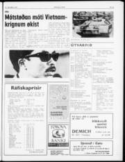 Síða 3
