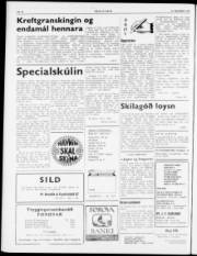 Síða 2