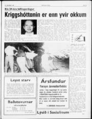 Síða 3