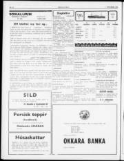 Síða 2