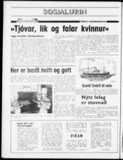 Síða 8