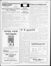 Síða 3