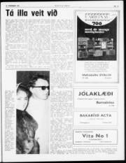 Síða 3