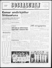 Síða 1