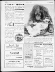 Síða 4