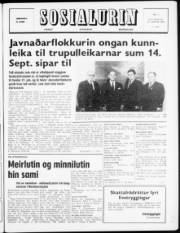 Síða 1