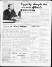 Síða 3