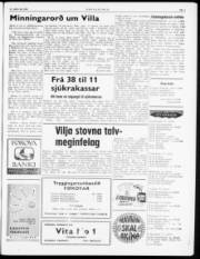 Síða 3