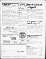 Síða 3