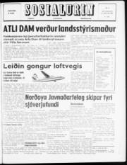 Síða 1