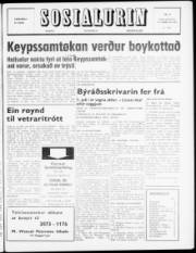 Síða 1