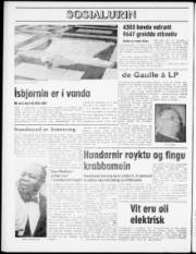 Síða 8
