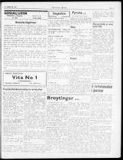 Síða 3