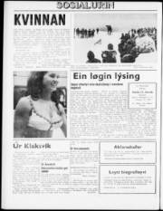 Síða 8