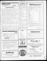 Síða 3