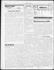 Síða 2