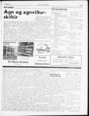 Síða 5