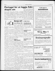 Síða 2