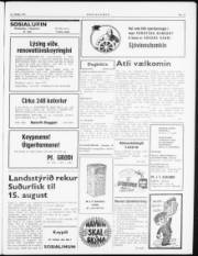 Síða 3