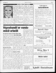 Síða 3