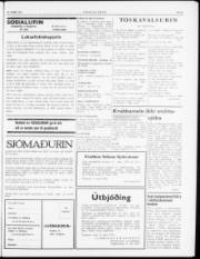 Síða 3