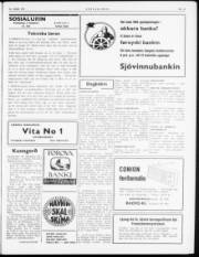 Síða 3