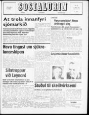 Síða 1